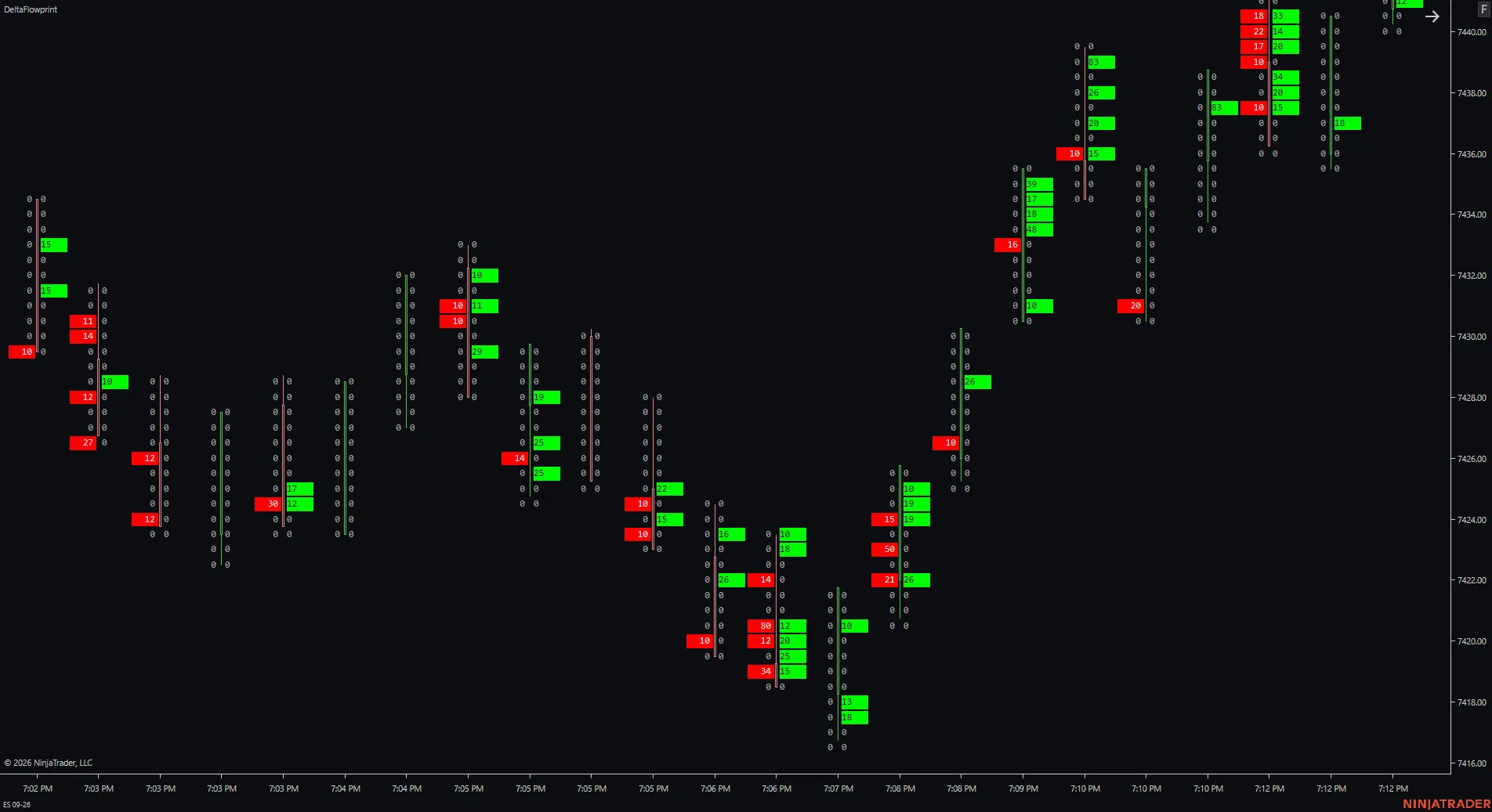 Modo de visualización footprint Big Trade en DeltaFlowprint para NinjaTrader 8