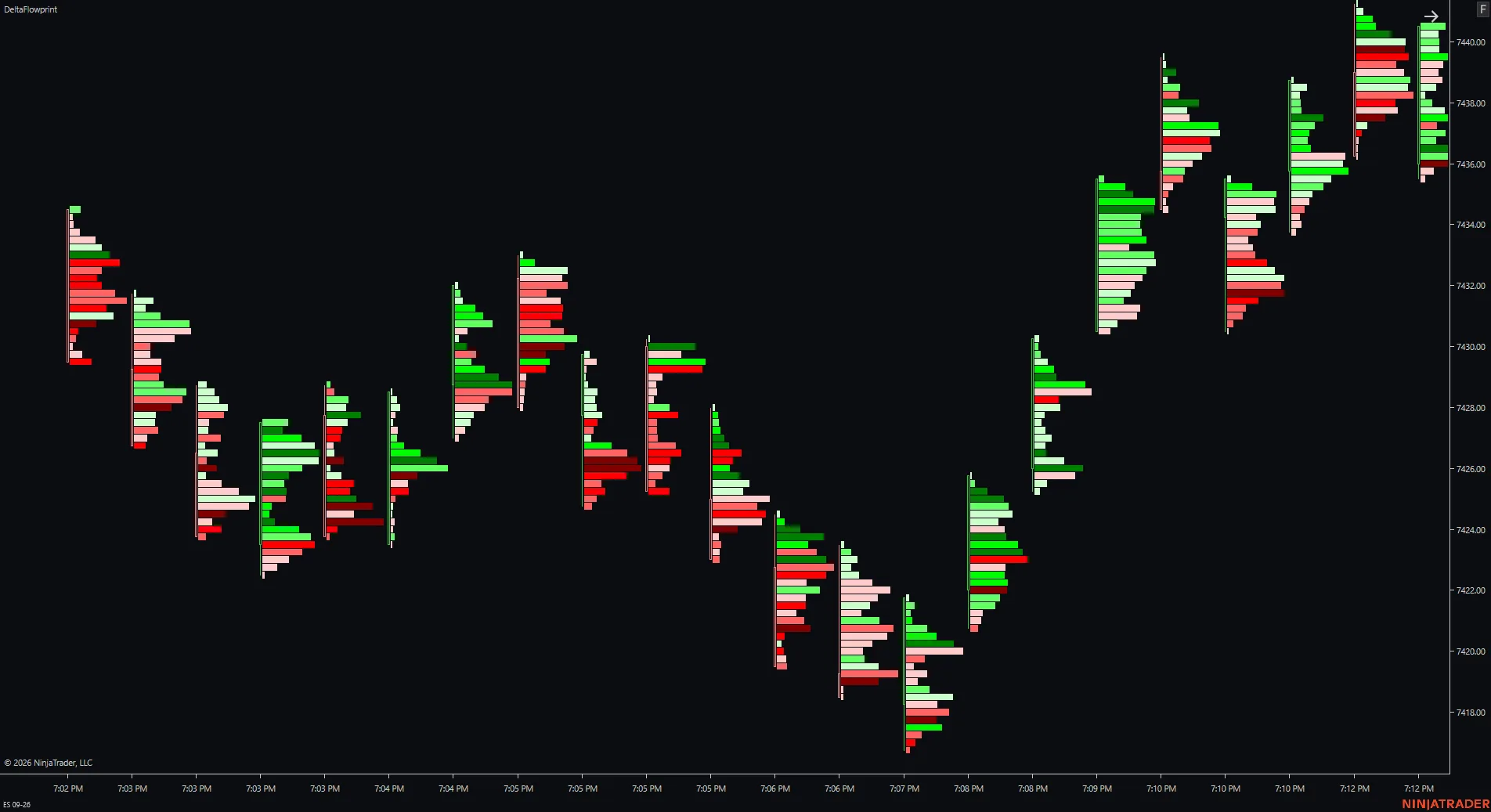 Modo de visualización footprint Profile en DeltaFlowprint para NinjaTrader 8